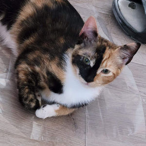 Meet your Posher, Emmanuel